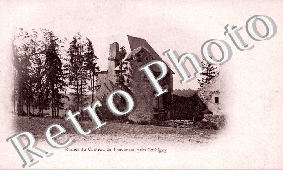 ruines du Chateau de Thaveneau