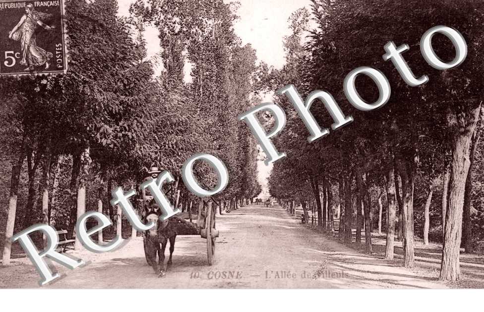 l'allee des tilleuls