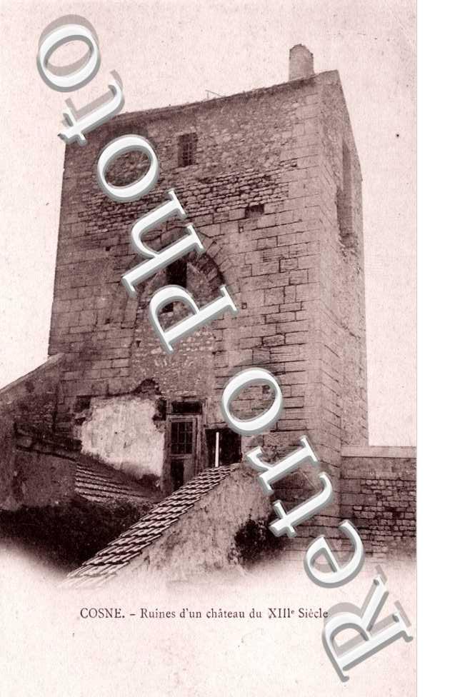 Ruines d'un chateau du XIIIeme