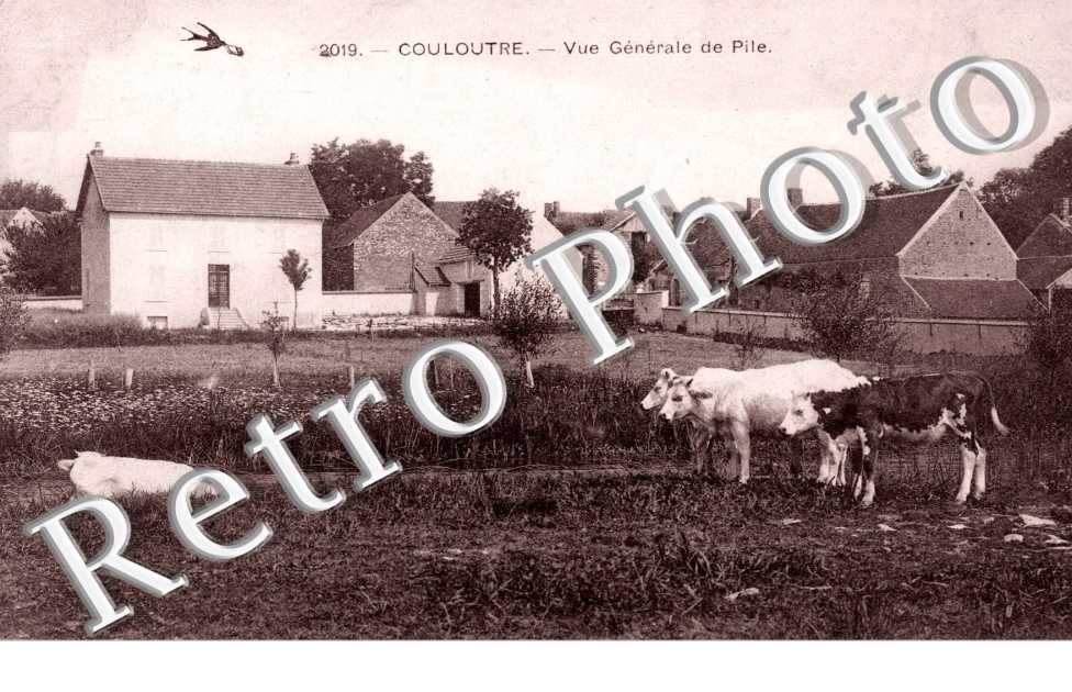 vue generale de Pile
