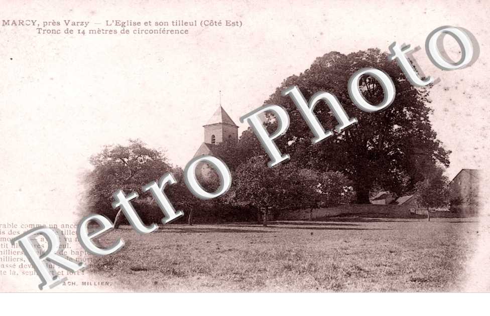 l'eglise et son tilleul
