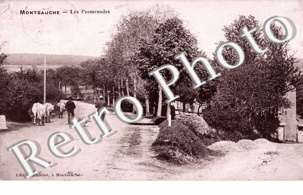 les promenades