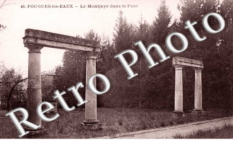 la MOntjaye dans le parc