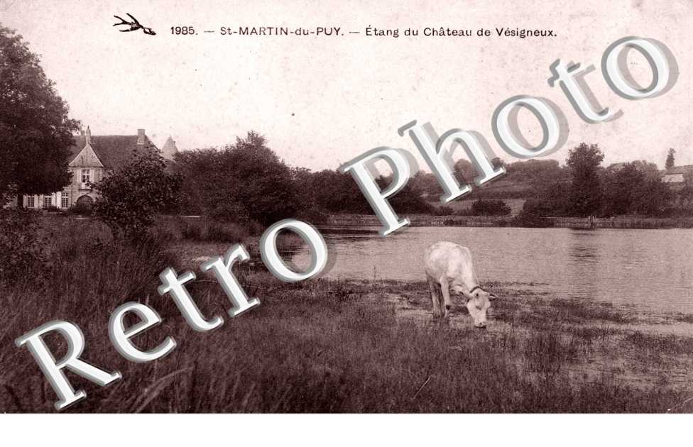 Etang du chateau de Vesigneux