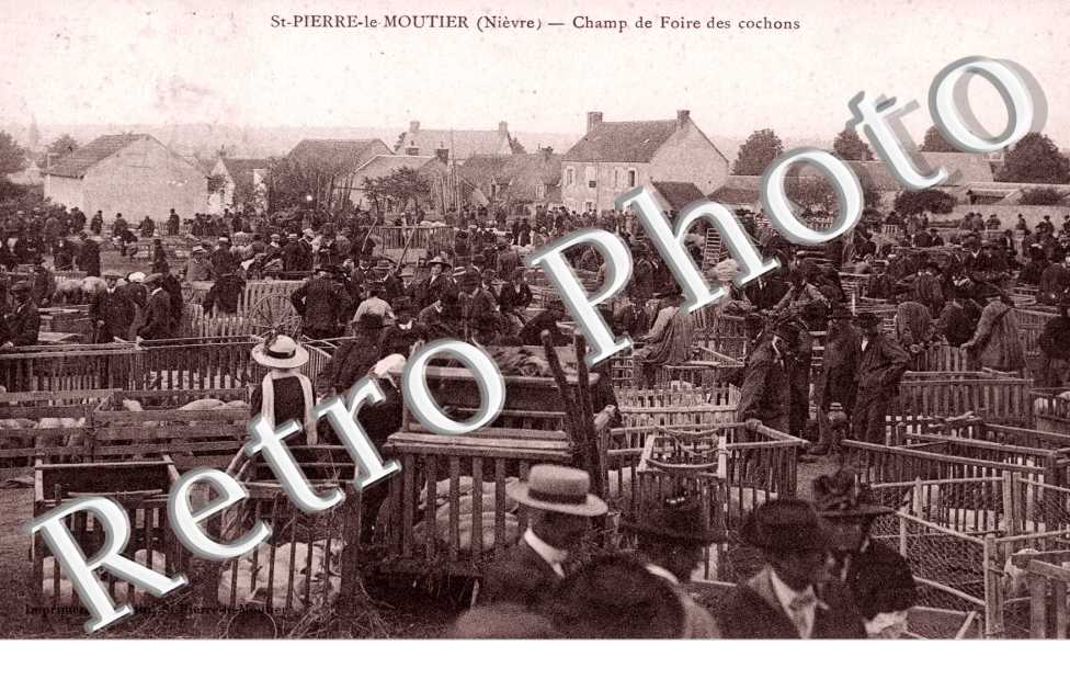 champ de foire des cochons