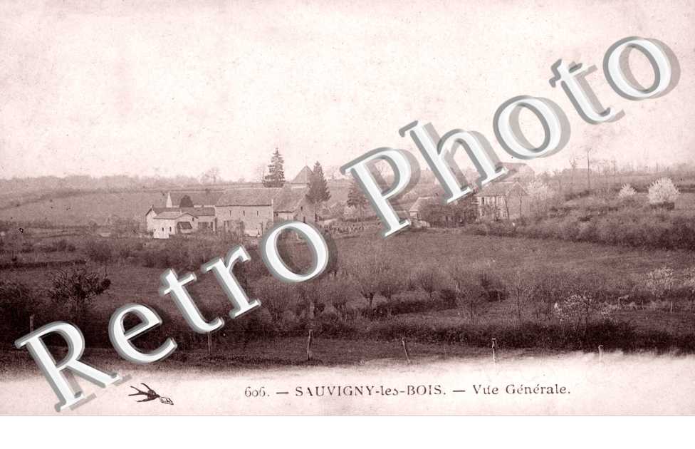 Vue générale