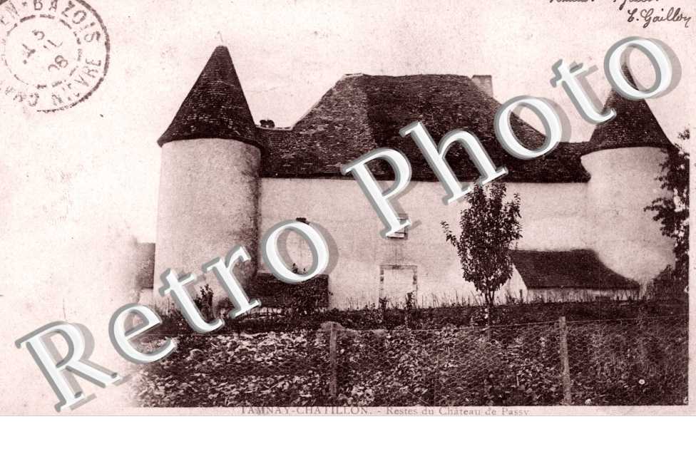 TAMNAY-CHATILLON  Restes du chateau de Passy