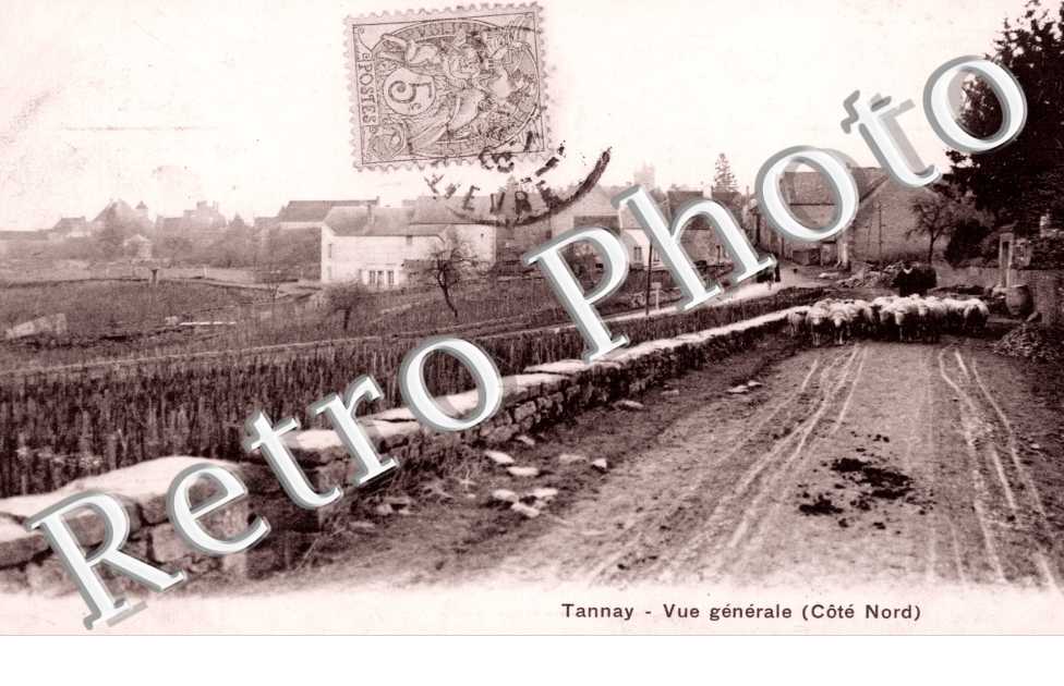 Vue generale