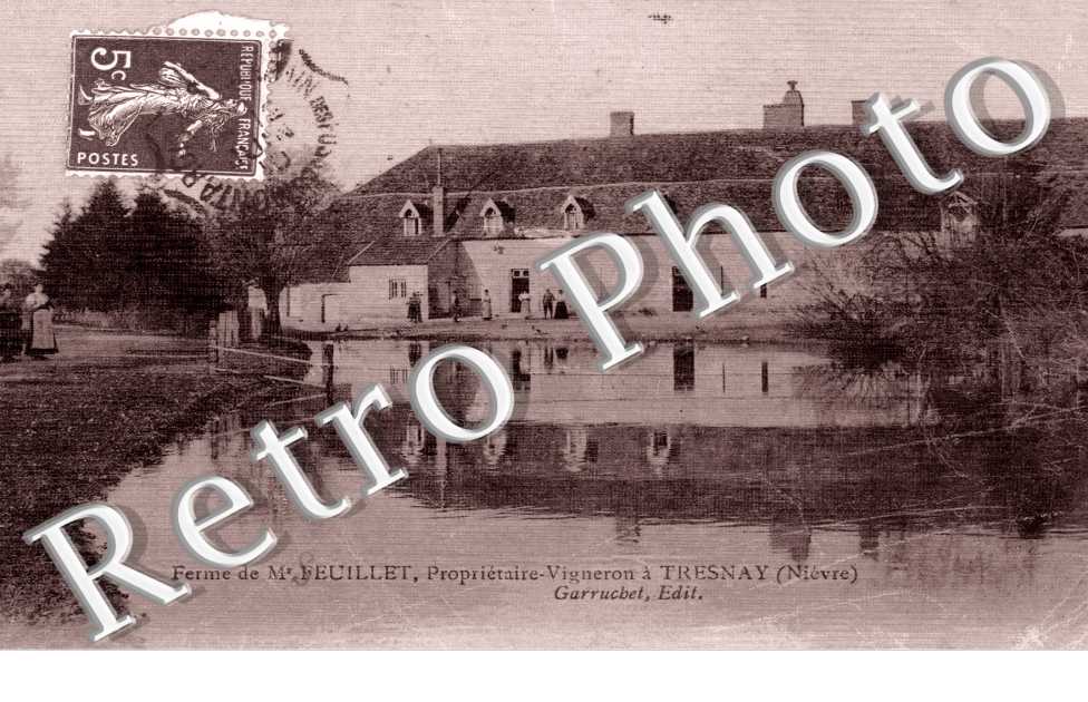 ferme de Mr Feuillet - vigneron