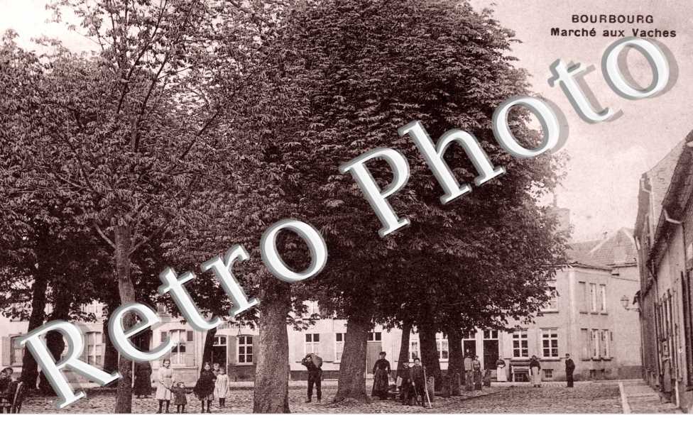 Marche aux Vaches
