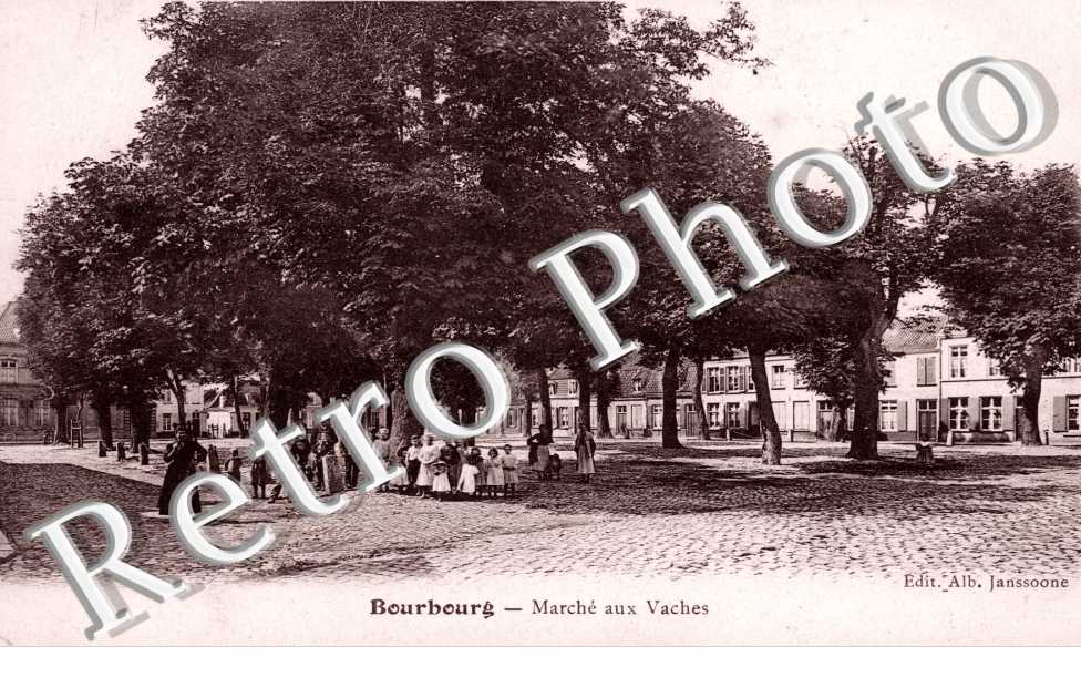 marche aux vaches