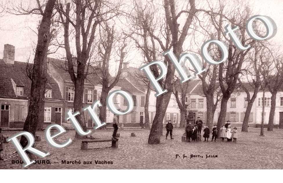 Marche aux Vaches