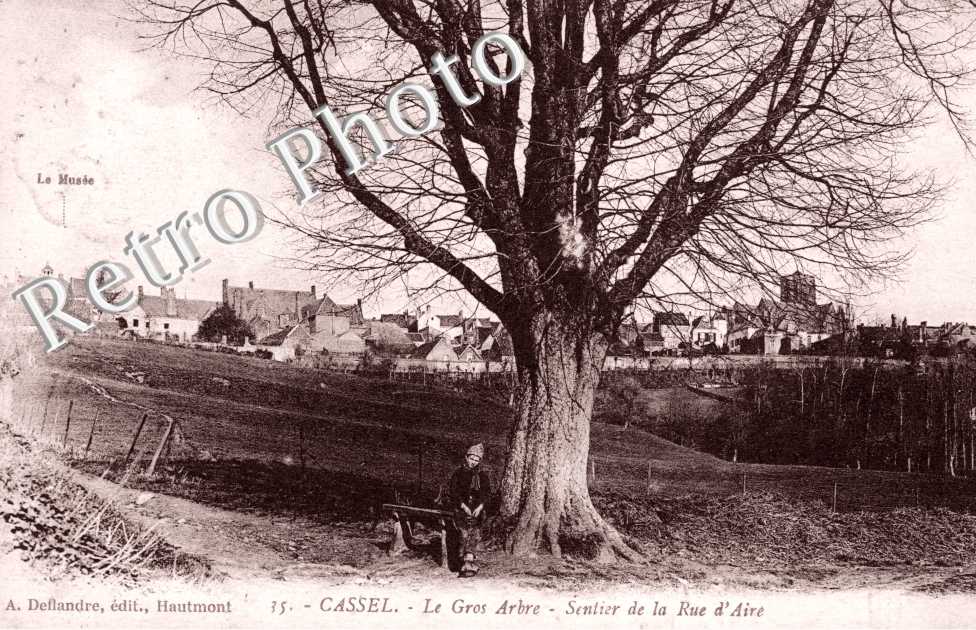 le Gros Arbre, Sentier de la Rue d'Aire