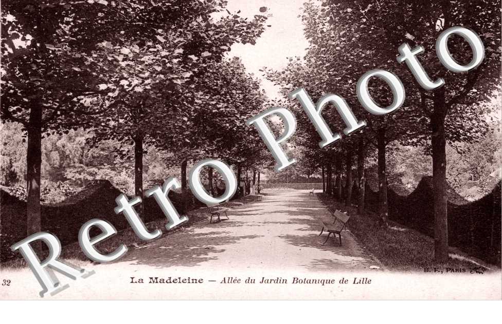 Allee du jardin botanique de Lille