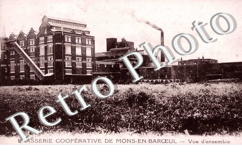 Brasserie cooperative - vue d'ensemble