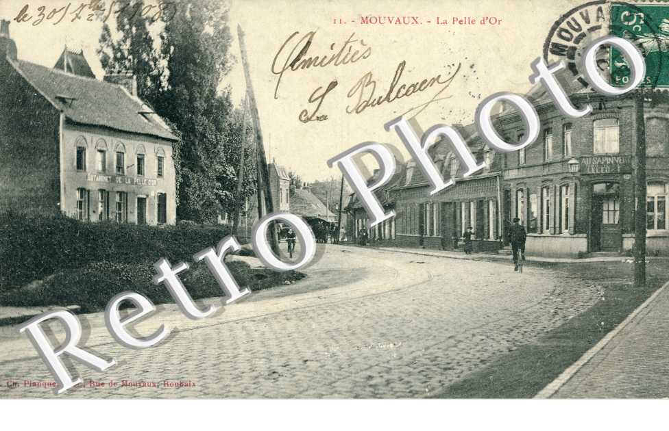 La pelle d'or