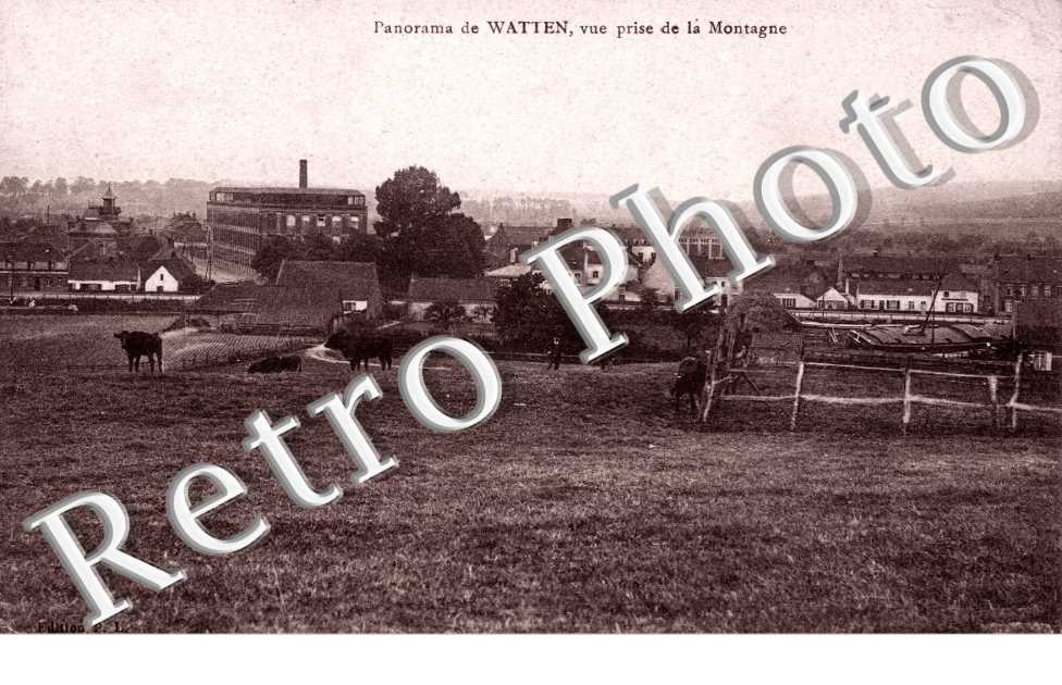 Panorama