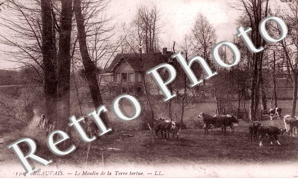 le Moulin de la terre tortue