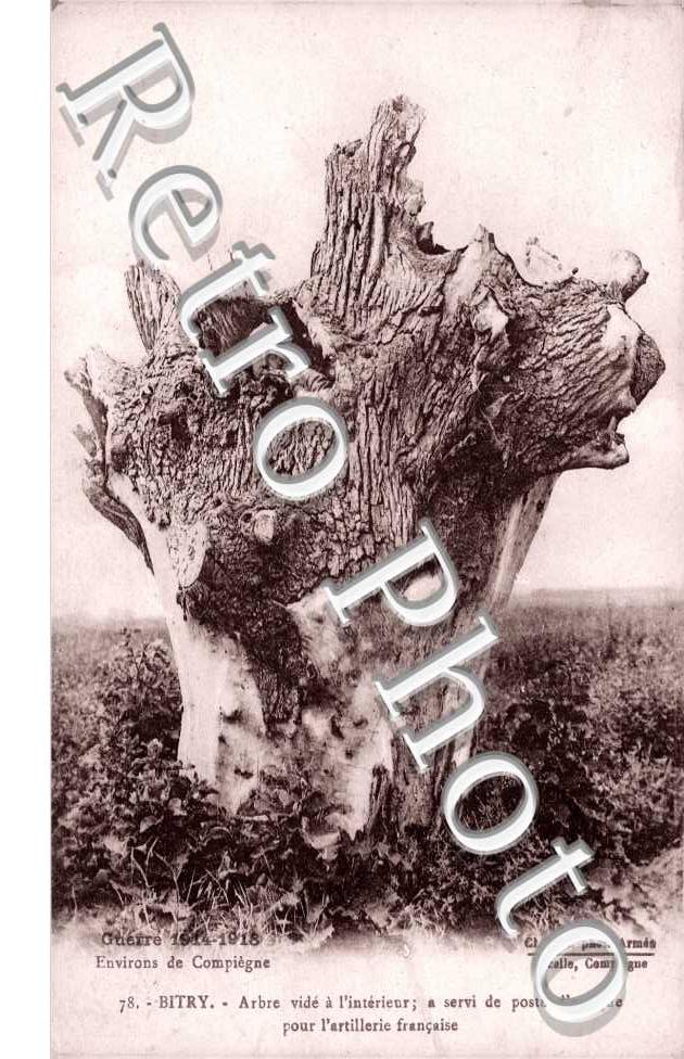 Arbre vidé de l'Intérieur