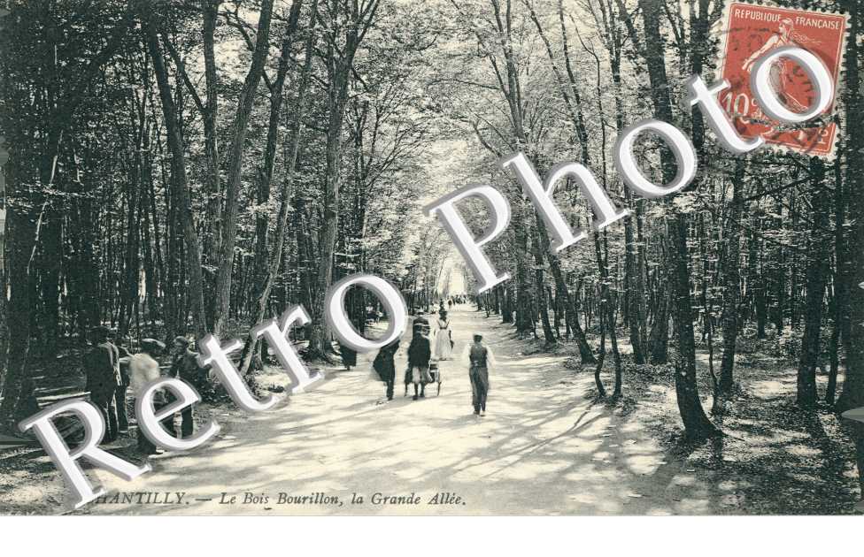 le bois Bourillon