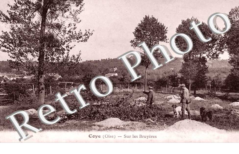 Coye-la-Foret, Sur les Bruyeres
