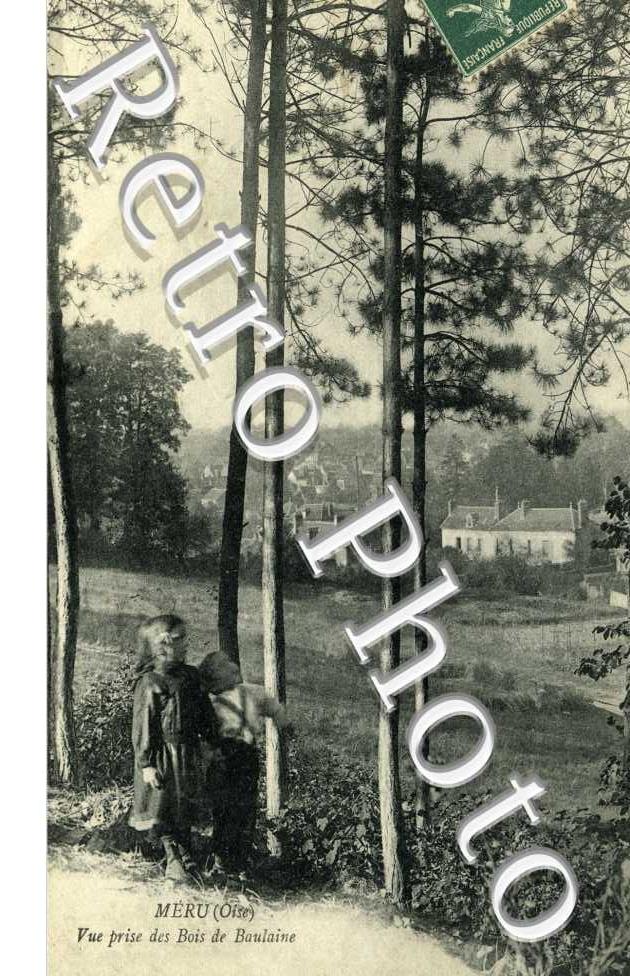 vue prise des Bois de Boulaine
