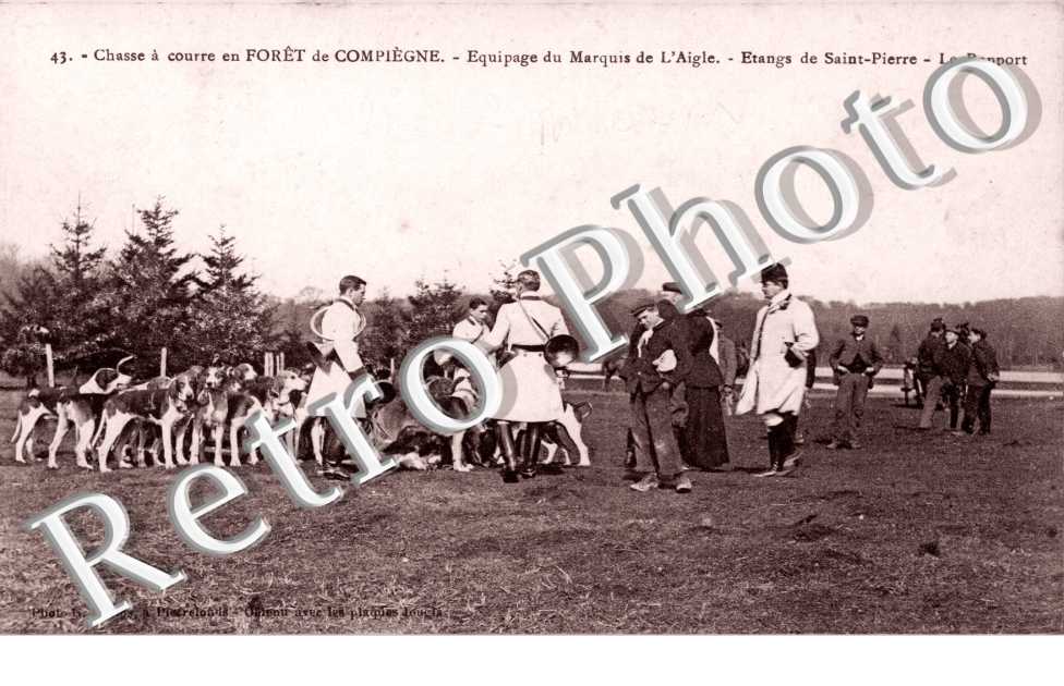 Chasse a courrre en foret