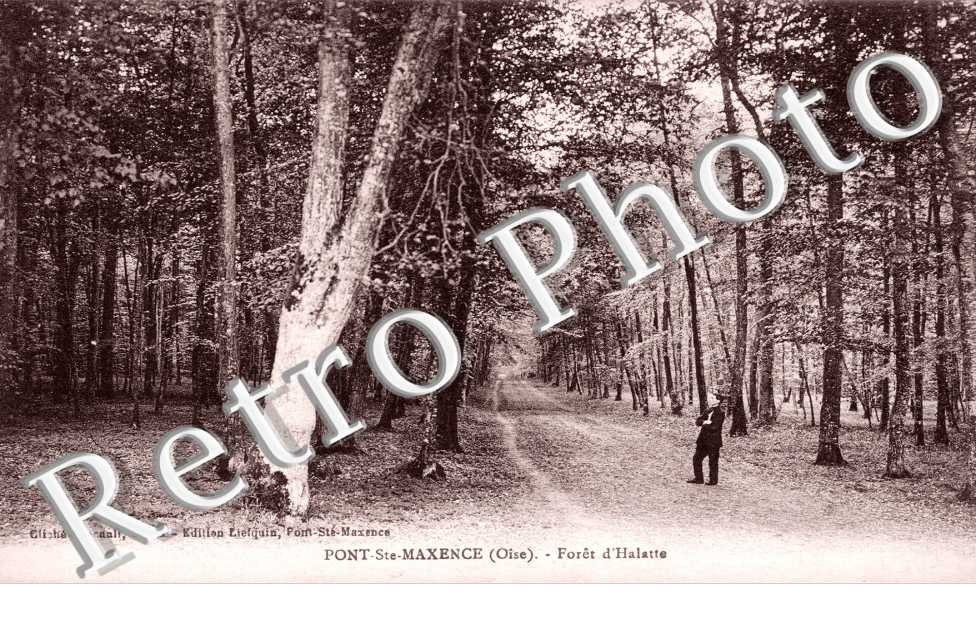 Foret d'Halatte
