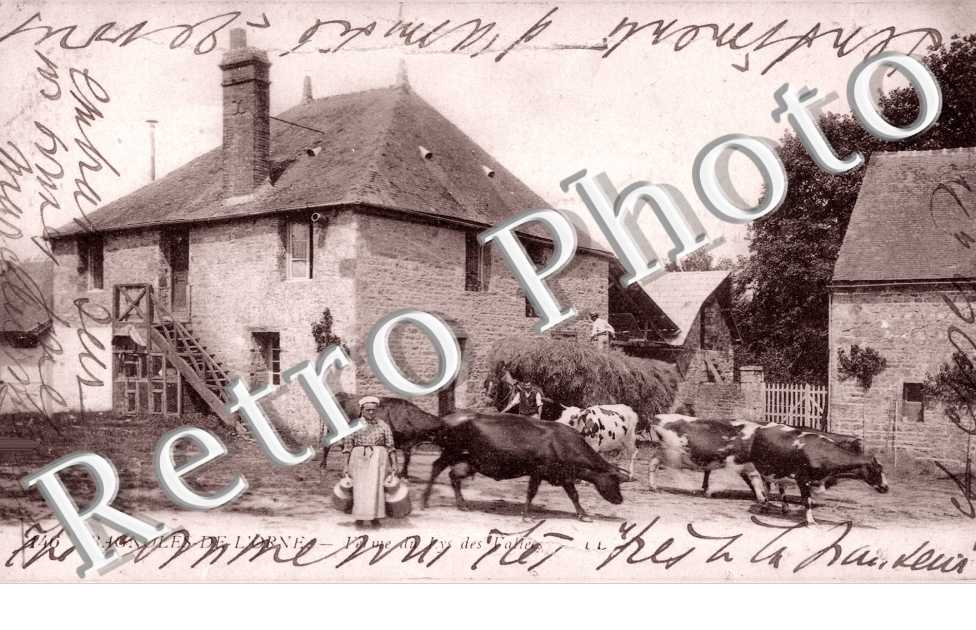 le manoir du Lys