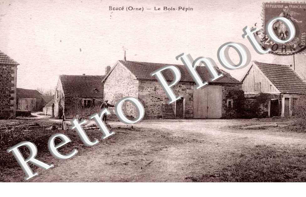 le Bois-Pepin