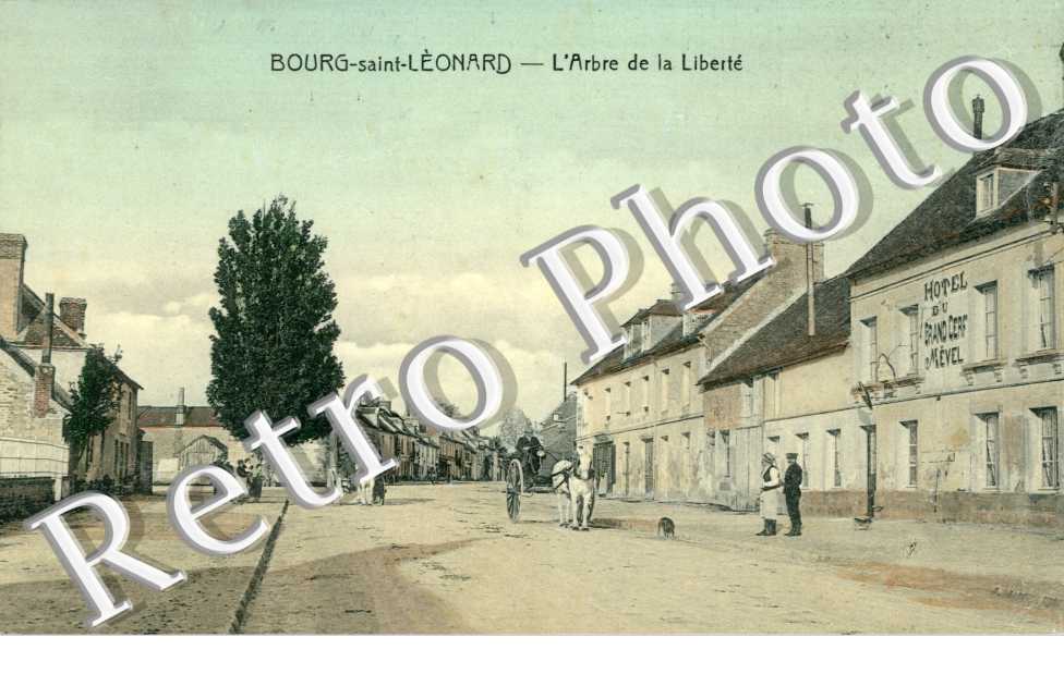 l'arbre de la liberte 