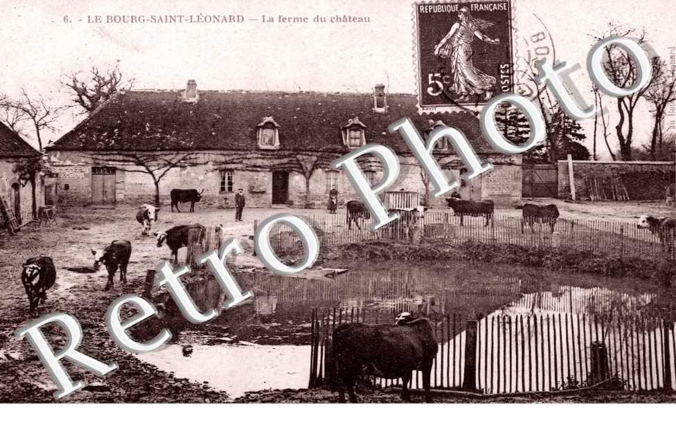 la ferme du chateau