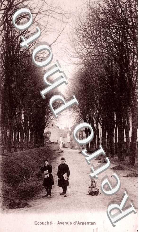 avenue d'argentan