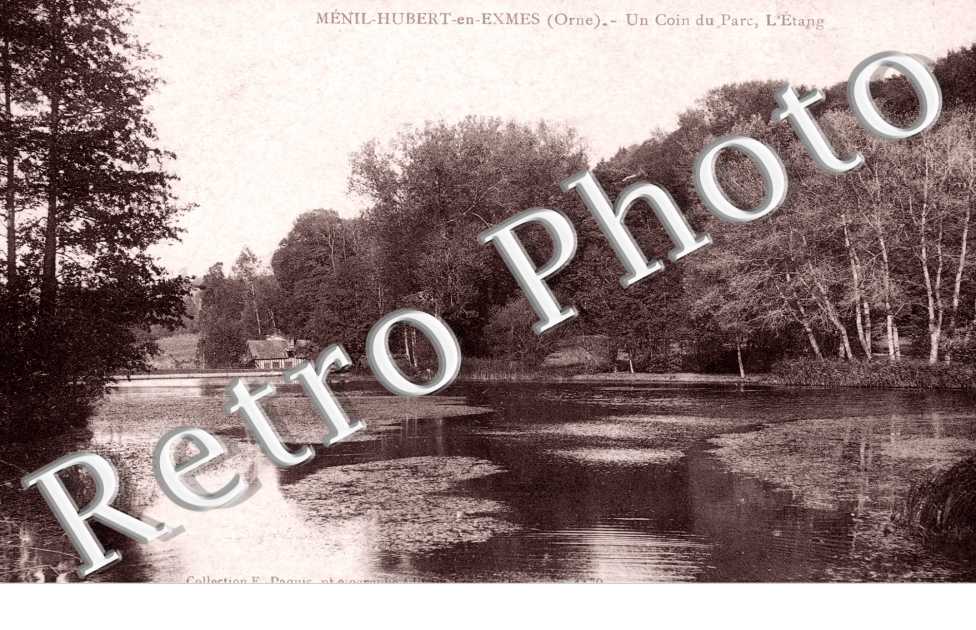Un coin du Parc - l'Etang