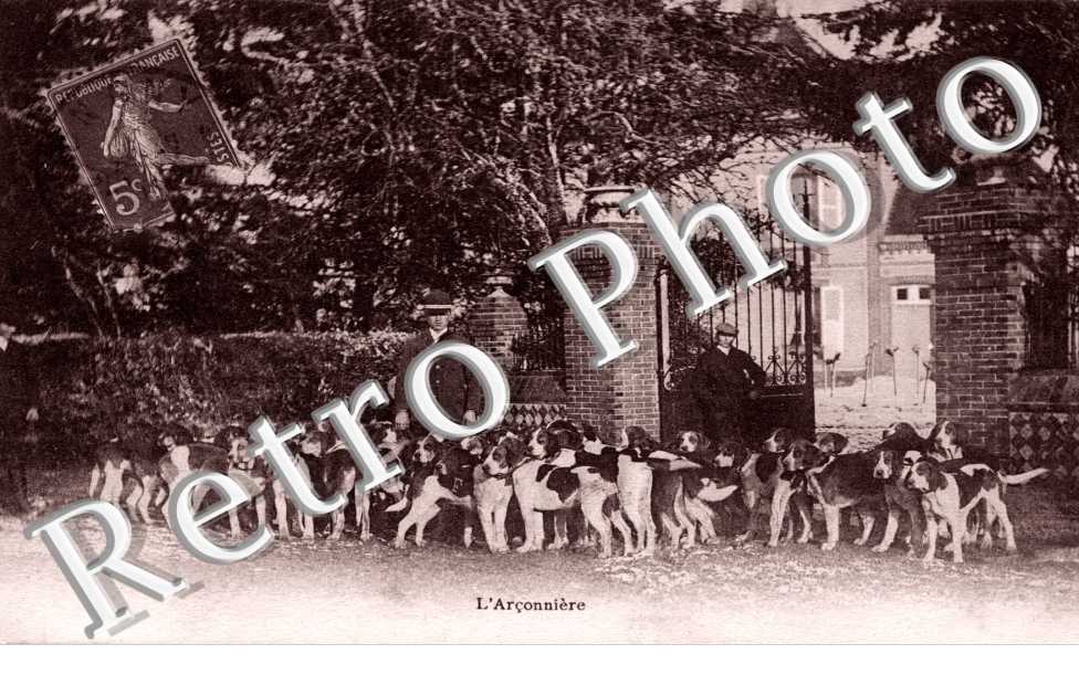 L'Arconniere