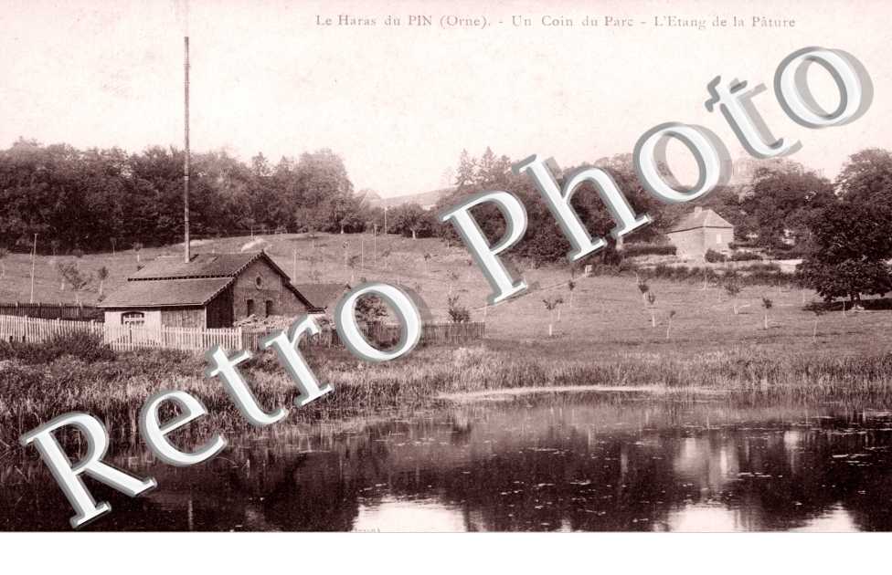 un coin du parc - l'etang de la pature