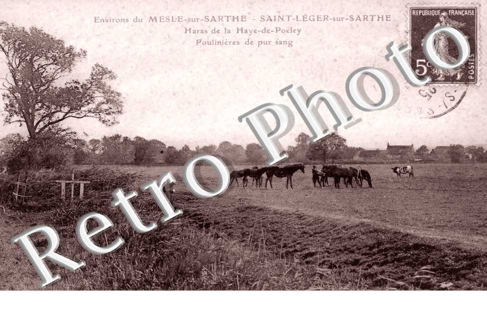 Haras de la Haye de Poëley