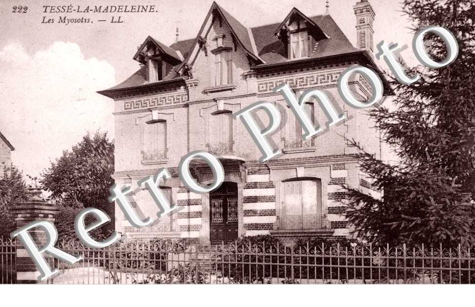 Les Myosotis
