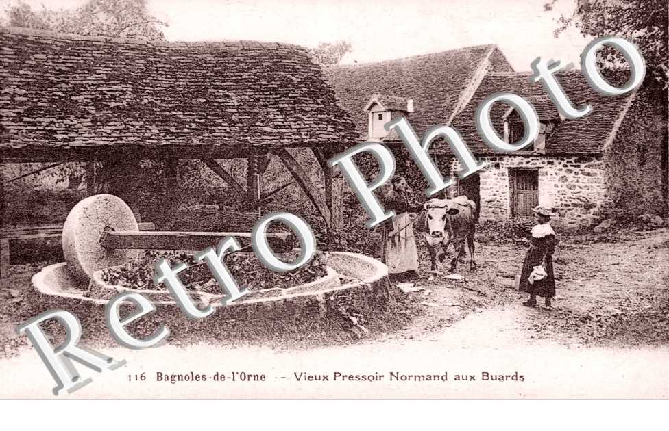 vieux pressoir normand aux Buards
