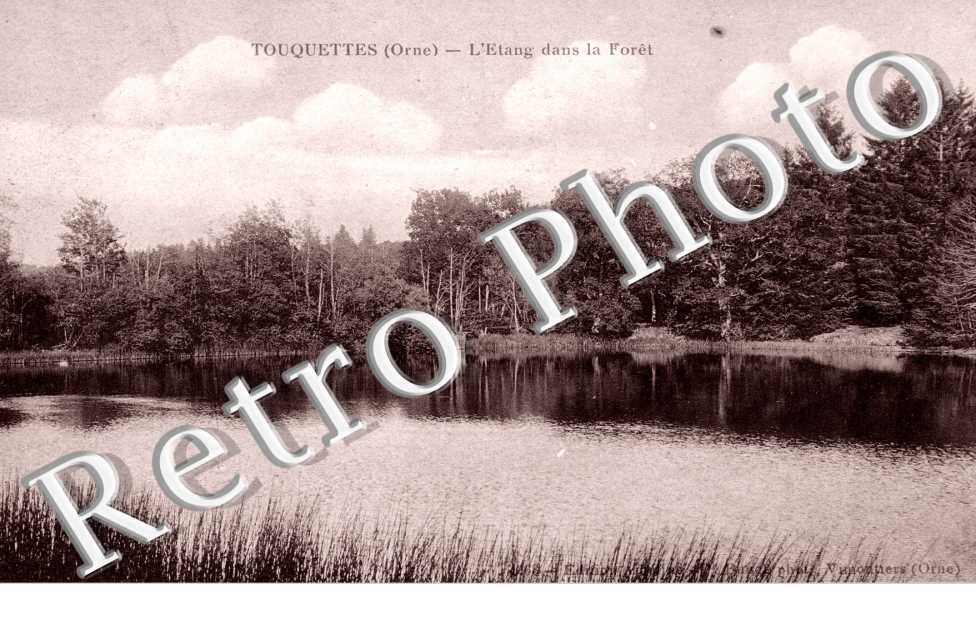 l'Etang dans la Foret