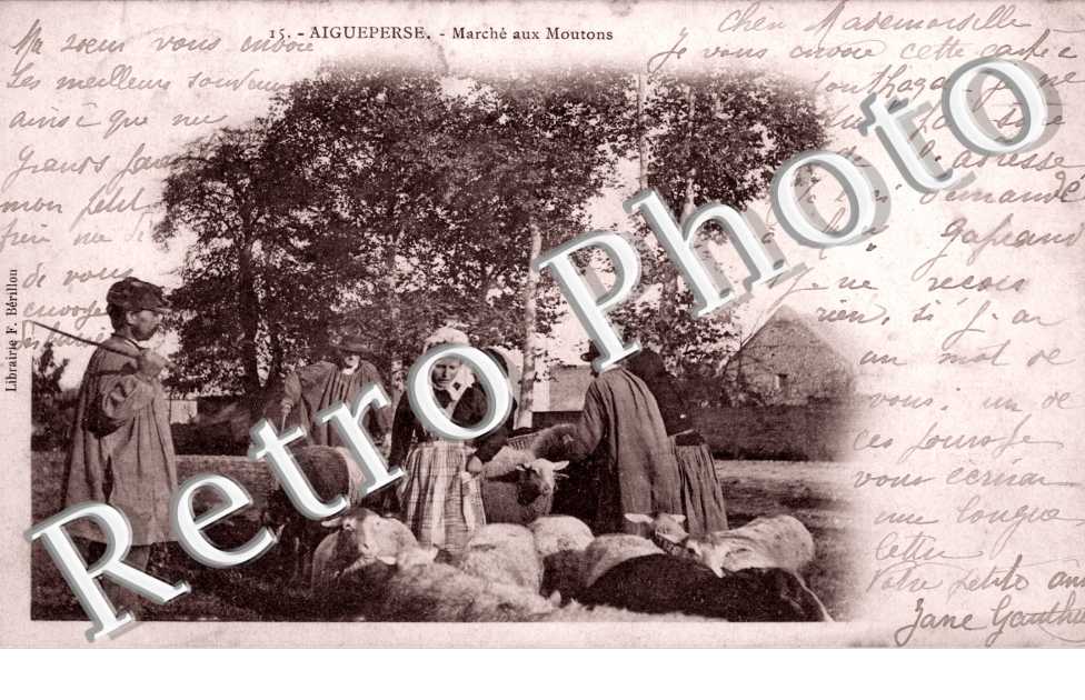 Marche aux moutons