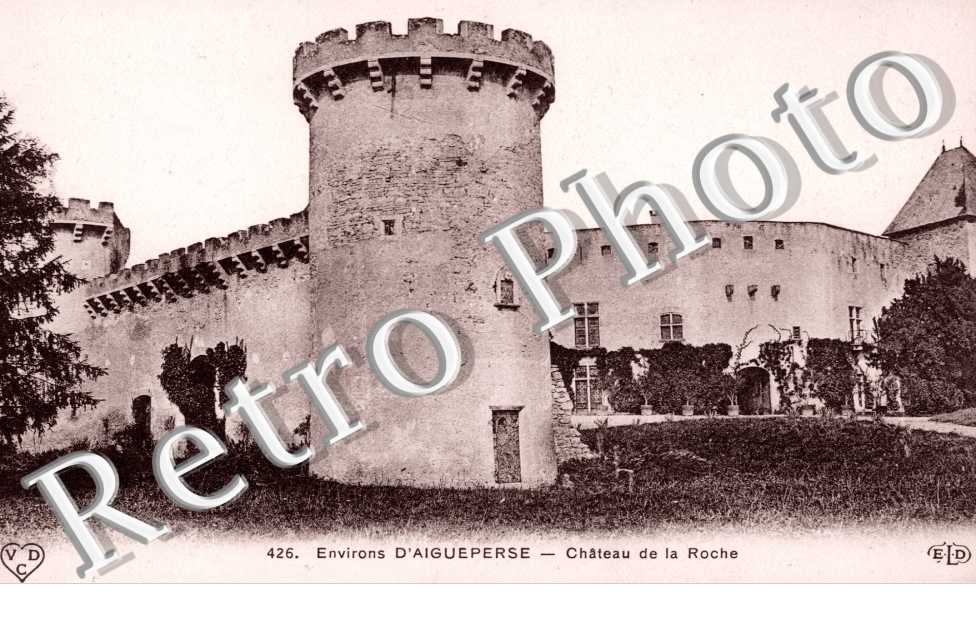 Chateau de la Roche