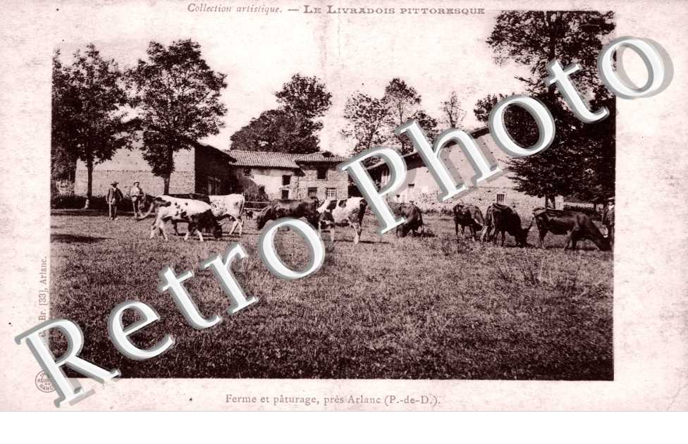 Ferme et Paturage