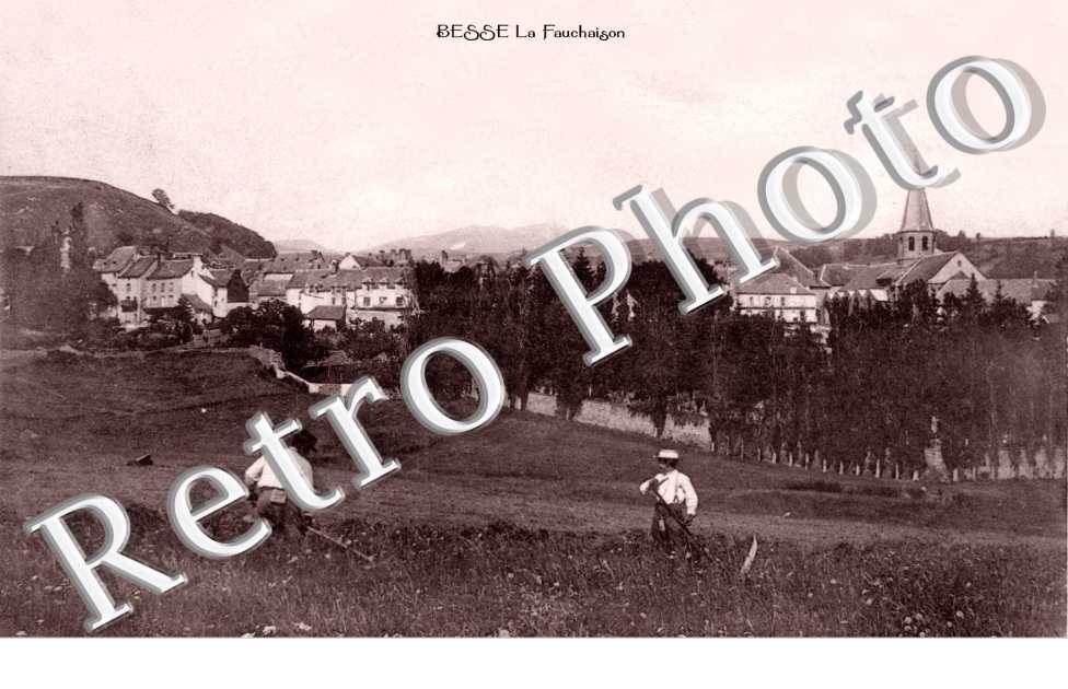Vue Generale - La Fauchaison