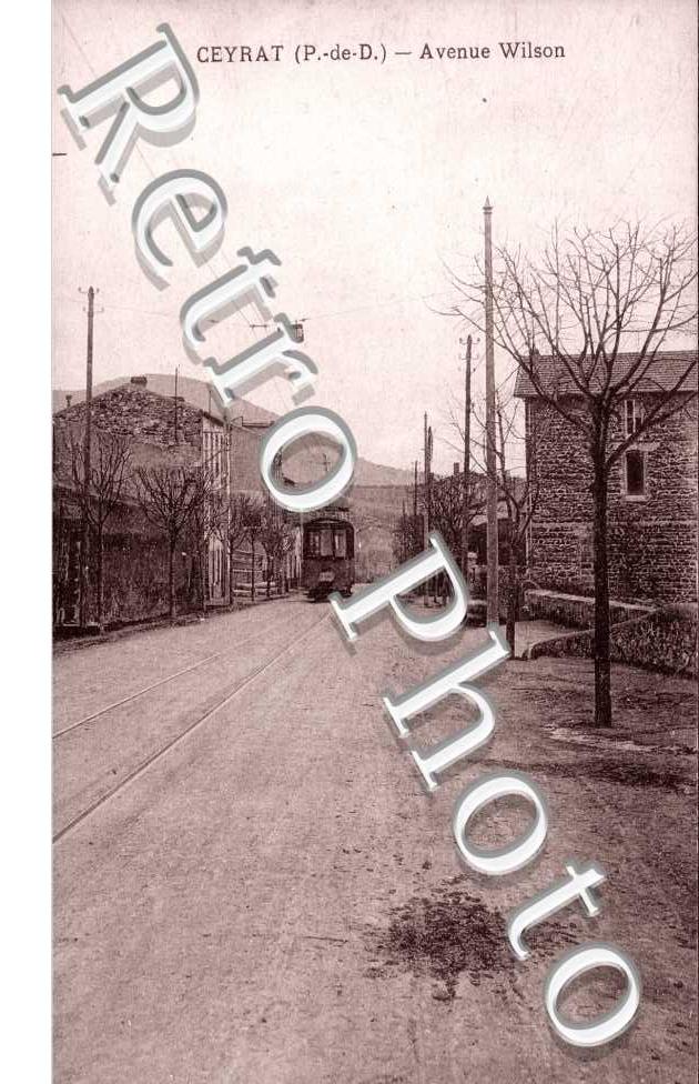 avenue Wilson