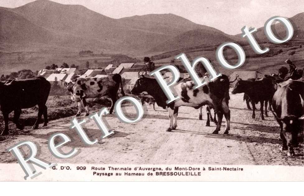 Paysage du hameau de Bressouleille