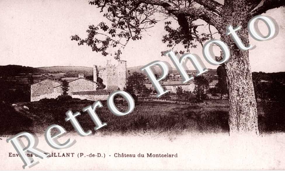 Chateau du Montcelard