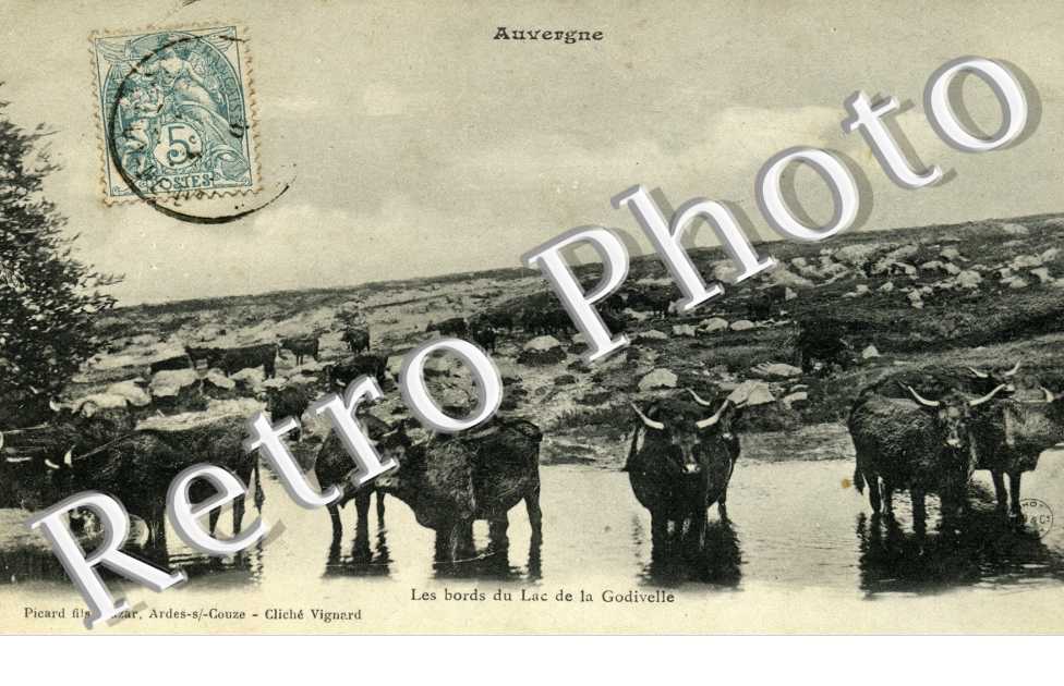 les bords du lac