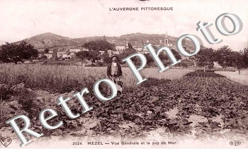 vue generale et le Puy de Mur