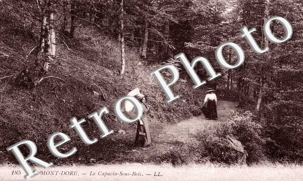Le Capucin -  sous bois